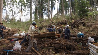 千葉市昭和の森・四季の道　森の再生作業ボランティア募集のお知らせ
