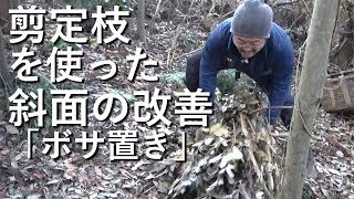 『よくわかる土中環境』YouTube動画その２「剪定枝を使った斜面のボサ置き」
