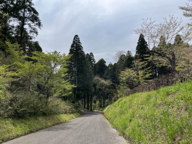 千葉市・昭和の森　四季の道　市民による第3回植樹＆環境改善WS開催のお知らせ！
